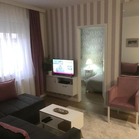 Apartman Kristina Free Parking Νόβι Σαντ Εξωτερικό φωτογραφία