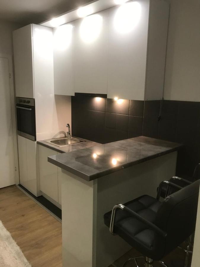Apartman Kristina Free Parking Νόβι Σαντ Εξωτερικό φωτογραφία