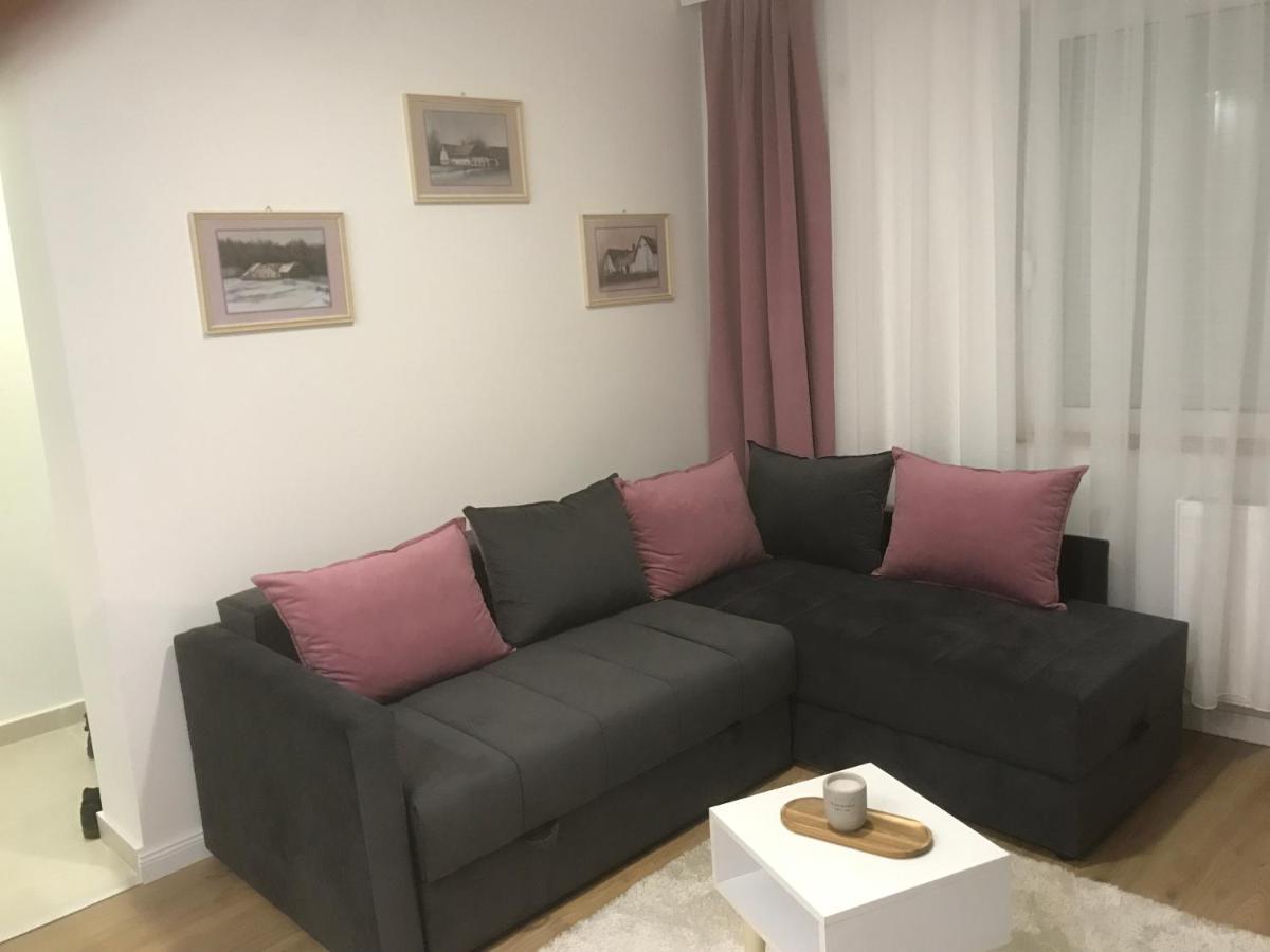 Apartman Kristina Free Parking Νόβι Σαντ Εξωτερικό φωτογραφία