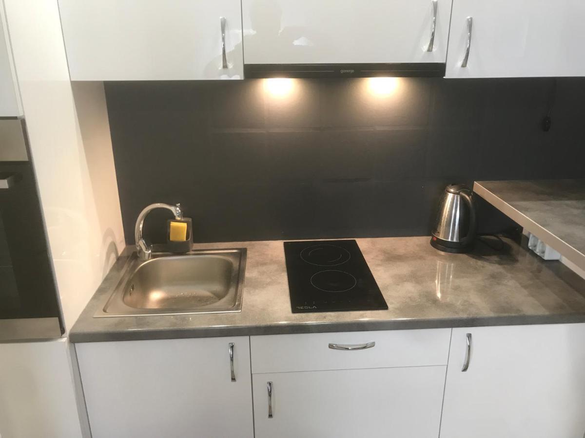 Apartman Kristina Free Parking Νόβι Σαντ Εξωτερικό φωτογραφία