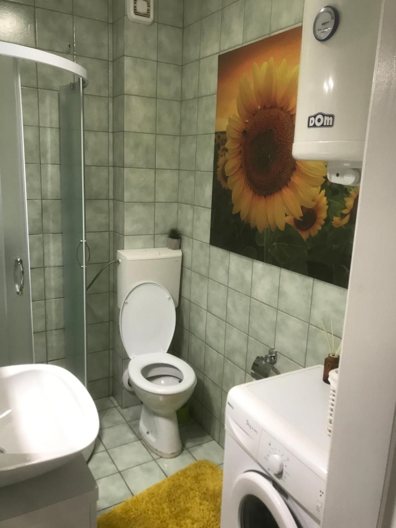 Apartman Kristina Free Parking Νόβι Σαντ Εξωτερικό φωτογραφία